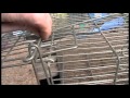 Whole Family Rat Cage Trap