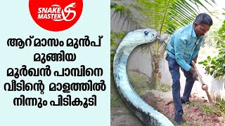 ആറ് മാസം മുൻപ് മുങ്ങിയ മൂർഖൻ പാമ്പിനെ വീടിന്റെ  മാളത്തിൽ നിന്നും പിടികൂടി | Snakemaster EP 970 by Kaumudy 57,489 views 5 days ago 17 minutes