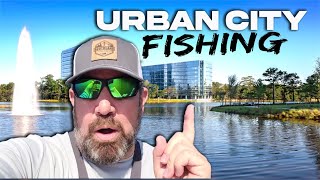 Fishing URBAN City for Big Bass...INSANE Day!! by Typical Outdoors 95 views 1 year ago 11 minutes, 15 seconds