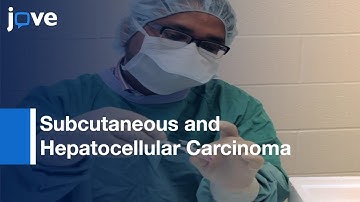 Subcutaneous and Hepatocellular Carcinoma Xenografts | Protocol Preview