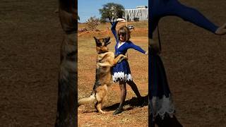 Treinando Meu Pastor Alemão