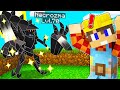 HO CATTURATO NECROZMA POKEMON LEGGENDARIO SULLA PIXELMON!!