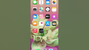 What happens if you delete the App Store#apple#ios#iphone #айфон