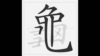 How to write turtle in Chinese (龜)
