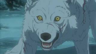 Wolf's Rain  Stand my ground.wmv