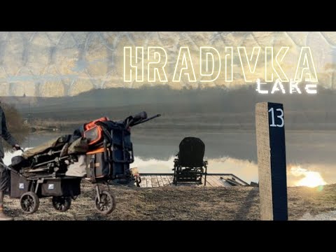 Короп по холодній воді, Градівка, ловля на flatfeeder