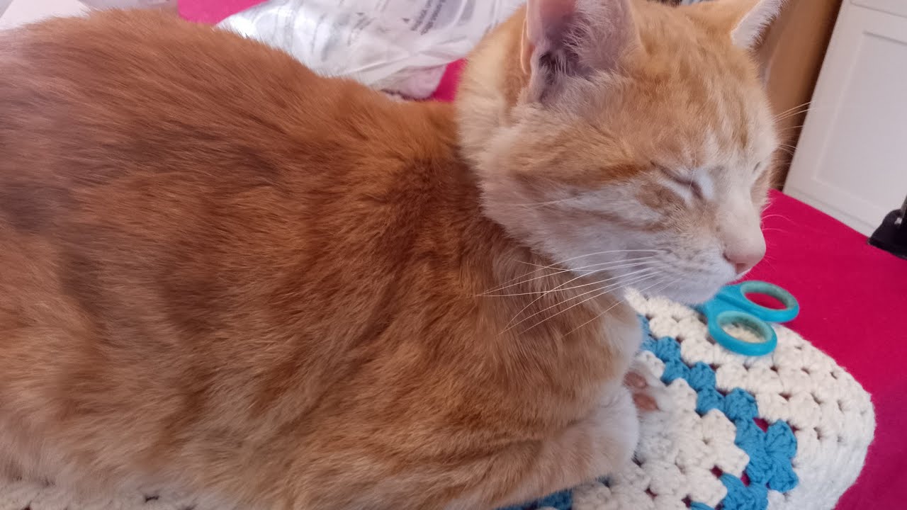 Vener papoter avec moi 