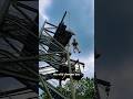 Wild Adventure in Singapore! 🇸🇬 | Rainforest Wild ASIA + Wild Apex Challenge