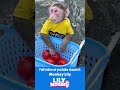 Lily Is Officially The Fastest Tomato Seller Ever Monkey Shorts Short