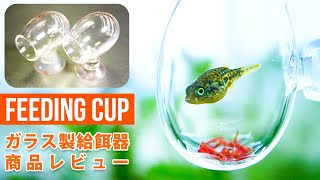 Amazonで見つけた可愛い給餌器！アベニーパファーもりもりで商品レビュー #アクアリウム