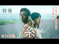「糸」特報映像
