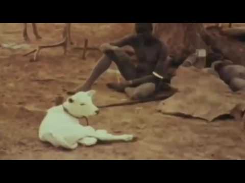 African Hamar Tribes Rituals and Ceremonies Life of Hamar Tribe at Ethiopia Documentary Movies P3