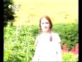 چنار به روی نازوه چنار به روی نازوه