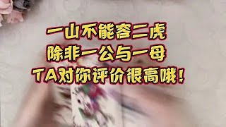 (塔罗占卜) 一山不能容二虎，除非一公与一母。TA对你的评价很高哦！