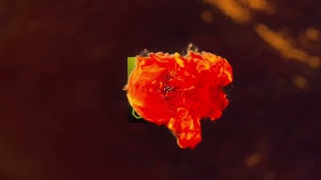 My new intro kaisa laga comment Karo like, share, comment and subscribe 