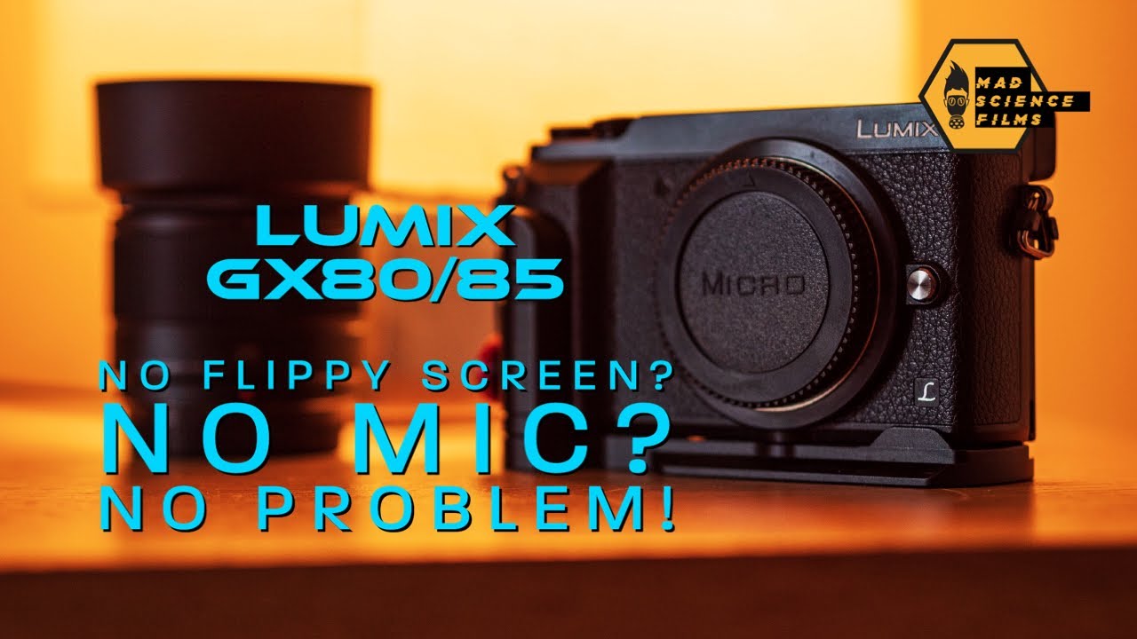Panasonic - パナソニック LUMIX DMC-TZ85 再生時難有 パナソニック LUMIX DMC-TZ85 再生時難有