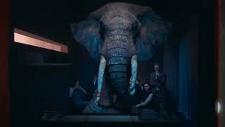 Channel 4 - Rebrand New Ident 4 - 14062023