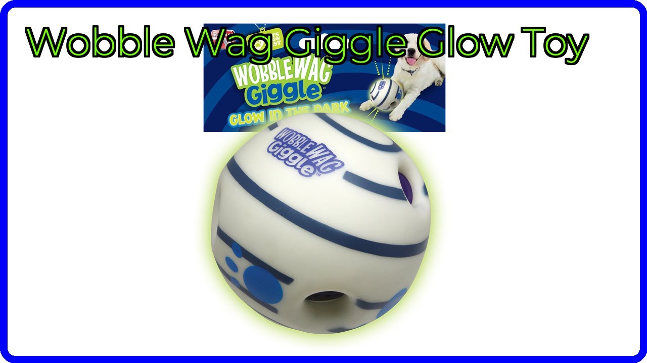 REVIEW (2025): Wobble Wag Giggle Glow Toy. ESSENTIAL details.
