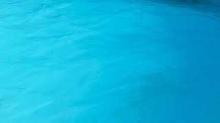 Frightening Photo Reveals Kids Should Never Wear Blue Swimwear Frightening Photo Reveals Kids Should Never Wear Blue Swimwear