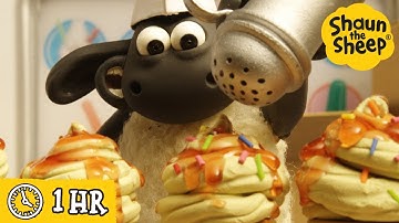 Shaun the Sheep 🐑 Timmy