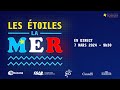 Les toiles 2024  la mer