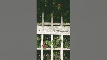 استغفر الله💚                                          #قرآن #اكسبلور #قران_كريم #quran #تلاوات #لايك
