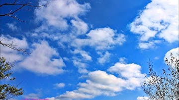 James McMurtry - Where