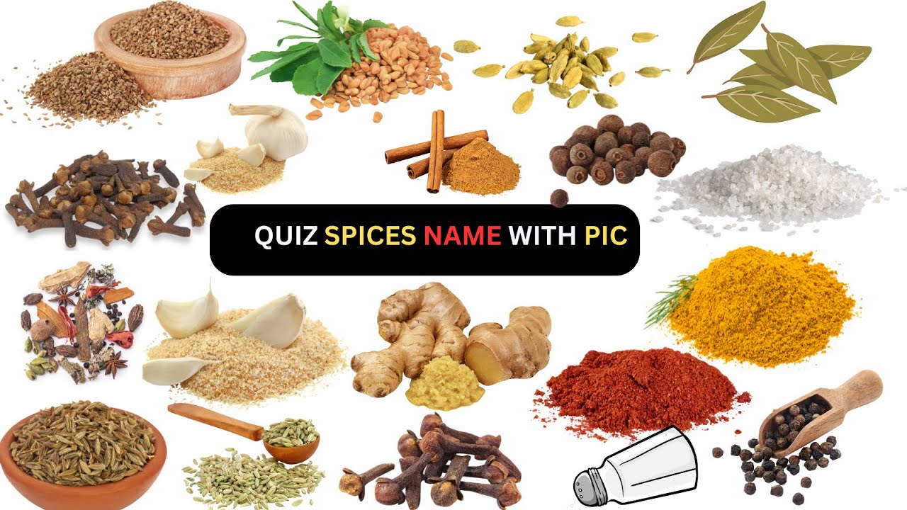 Guess the Herbs and Spices Quiz\ For kids games - YouTube