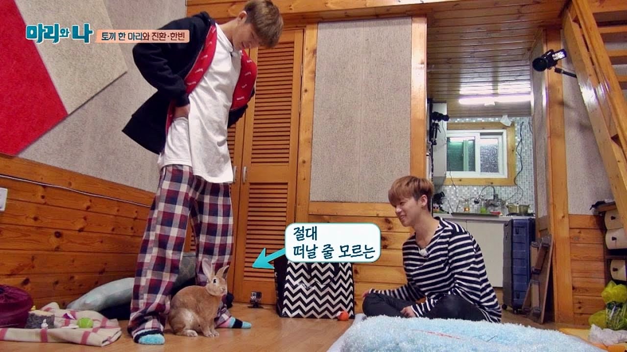 베이지의 급 발정(?)에 진환&한빈 '멘붕' 이게 뭐람? 마리와 나 7회