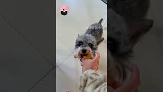 Onlar Beni̇m Her Şeyim 🐶🦜 Resimi