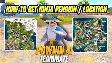 Ninja Penguin PowNin Location in BGMI/PUBG | Ninja Penguin PowNin Location in Erangel & Livik