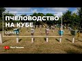 Куба: вывод пчелиных маток, матковыводной центр в провинции Артемиса (3 серия, Леандр Годадэн)