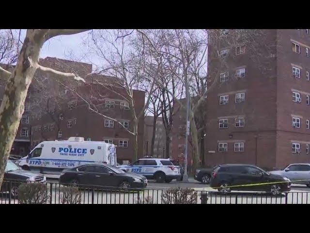 Man Shot To Death At Brooklyn Nycha Complex Police