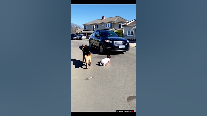 Hero Dog Saves Child from Car in Heart-Stopping Rescue! 🐾🚨 #dog #pets #shorts