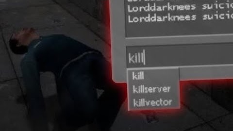 The Half-Life 2 Multiplayer Experience