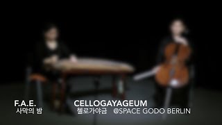 첼로가야금 CelloGayageum - 사막의 밤 F.A.E.