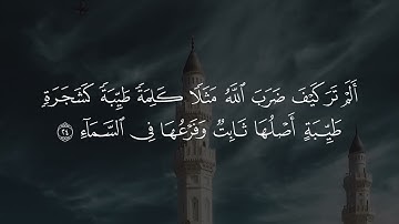 سورة إبراهيم | د. أحمد بن صابر الغامدي | مسجد قباء | تراويح ليلة ١٧ رمضان ١٤٤٦ هـ