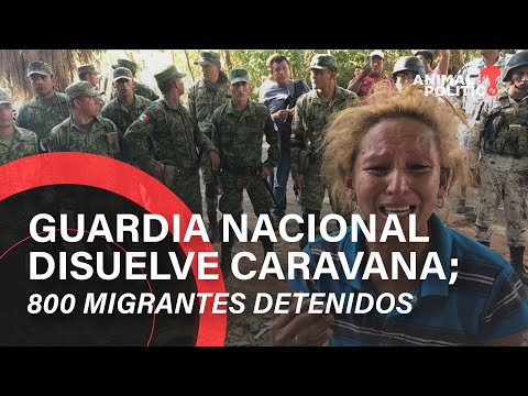 Guardia Nacional disuelve caravana; 800 migrantes detenidos