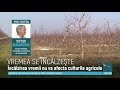 Iarna se lasă aşteptată. Ce temperaturi prognozează meteorologii de Revelion