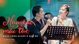 HOA CÀI MÁI TÓC - Bạch Công Khanh, Nam Em (Live) | Gửi lời cảm ơn đến tình cảm của khán thính giả