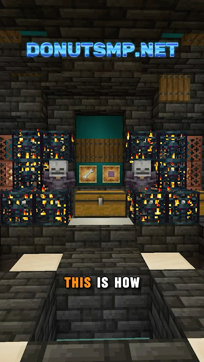 How I Store Over 3,000 Skeleton Spawners on DonutSMP!  #donutsmp #minecraft #drdonutt #gaming
