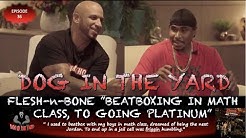 Dog In The Yard Youtube