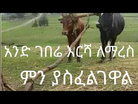 ቪዲዮ: ማረስ -ምንድነው? ለማረስ የአግሮቴክኒክ መስፈርቶች። መሬቱን እንዴት ማረስ? የእፅዋት እርሻ እና ሌሎች ዓይነቶች ፣ ሊተከሉ የሚችሉ መሣሪያዎች