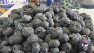 Blueberry power salad dressing for gut, brain & bone health  