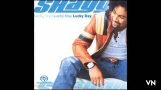 Shaggy - Full Control.