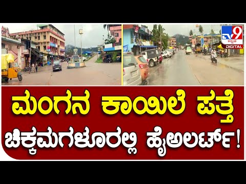 Chikkamagaluru: ಚಿಕ್ಕಮಗಳೂರು ಜಿಲ್ಲೆಯಲ್ಲಿ ಮಂಗನ ಕಾಯಿಲೆ ಪತ್ತೆ, ಆರೋಗ್ಯ ಇಲಾಖೆಯಿಂದ ಹೈಅಲರ್ಟ್| #TV9D