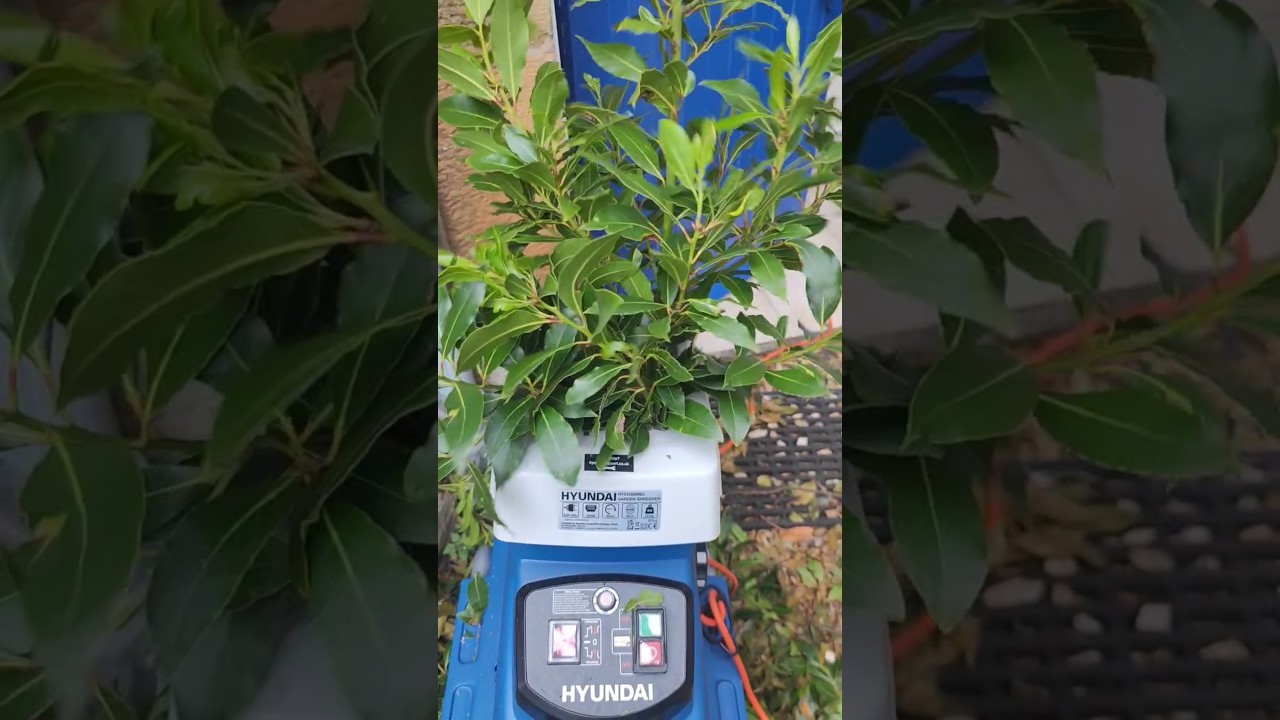 Hyundai HYCH2800ES garden shredder vs a couple of branches.