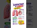 Surfactant in Lungs: Stops Collapse &amp; Keeps Alveoli Open! #Biology #NEET #ScienceShorts