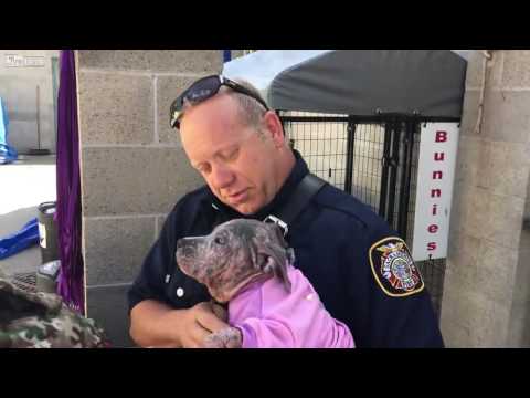 LiveLeak.com - Firefighter visits puppy he rescued Part 1