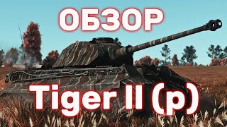 🔥ОБЗОР🔥2 Тигр 🐯